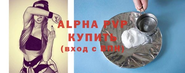 дживик Корсаков